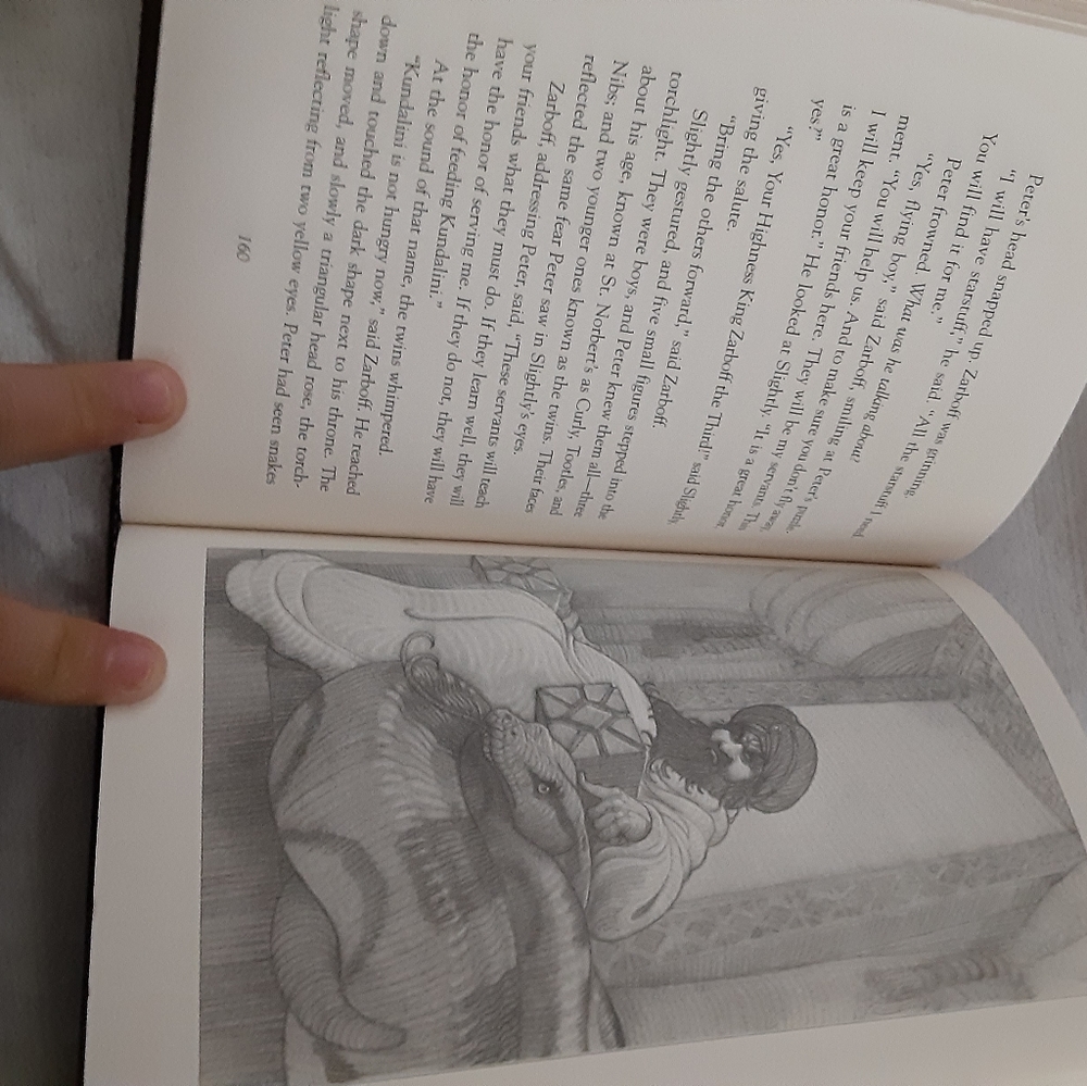 Chapter book - Picture 5 of 9